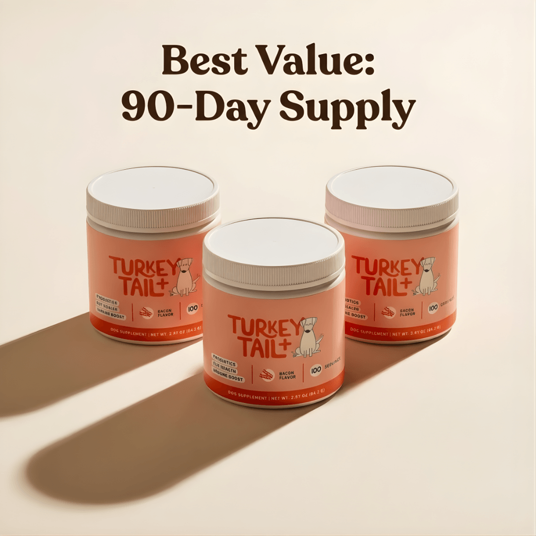 Better Days Turkey Tail+