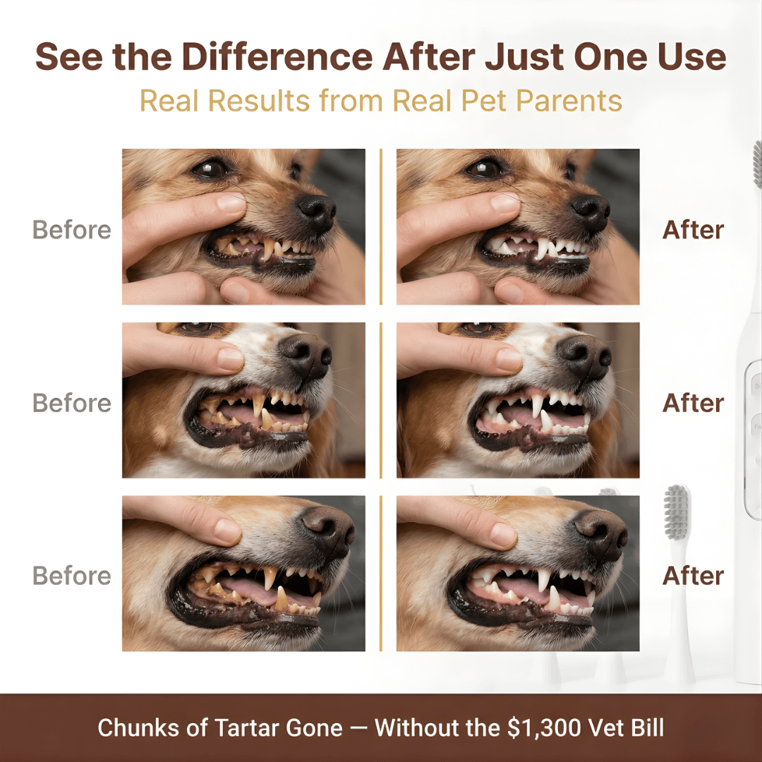 PawSonic Dental Wand®