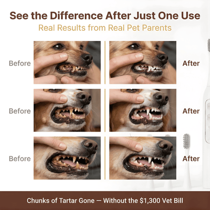 PawSonic Dental Wand®